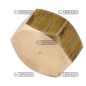 Bouchon femelle 1/2 pouce pour tige de désherbage