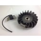 Volano bobina 12839 motore compatibile ACME A220 4896808 106-110