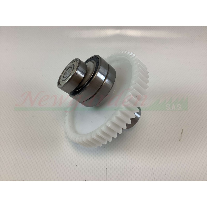 Correa dentada completa BASIC B10 - FULMINE STD - TWIST EVO 014906