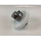 Correa dentada completa BASIC B10 - FULMINE STD - TWIST EVO 014906