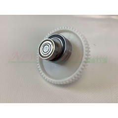 Correa dentada completa BASIC B10 - FULMINE STD - TWIST EVO 014906 | NewgardenAgri.com