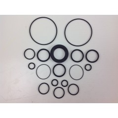 Kit de bomba UNIVERSAL Bertolini TRIAL D 000025 | NewgardenAgri.com
