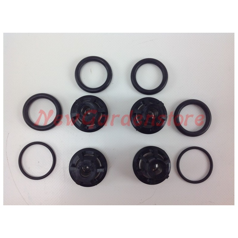 Valve kit UNIVERSAL Bertolini 55S pump 002856