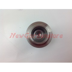 Kit soupape UNIVERSEL pompe Bertolini 55S 002856 | NewgardenAgri.com