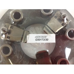 Frizione motocoltivatore motozappa trattore PASQUALI 947 G50173/30 | NewgardenAgri.com