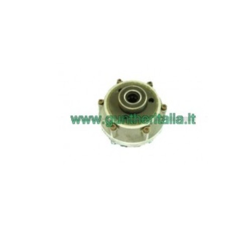 Frizione multidisco cilindro 19 Ø 103 x 87,5 cuscinetto BENASSI motozappa BL105 | NewgardenAgri.com