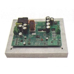 Placa electrónica de batería MAORI TWIST EVO 2011 - POWER P14 016224 | NewgardenAgri.com
