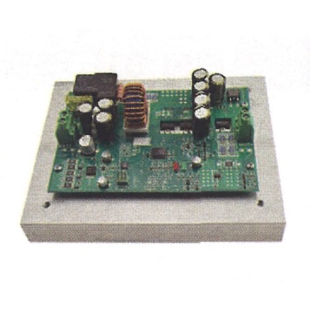 Placa electrónica de batería MAORI TWIST EVO 2011 - POWER P14 016224 | NewgardenAgri.com