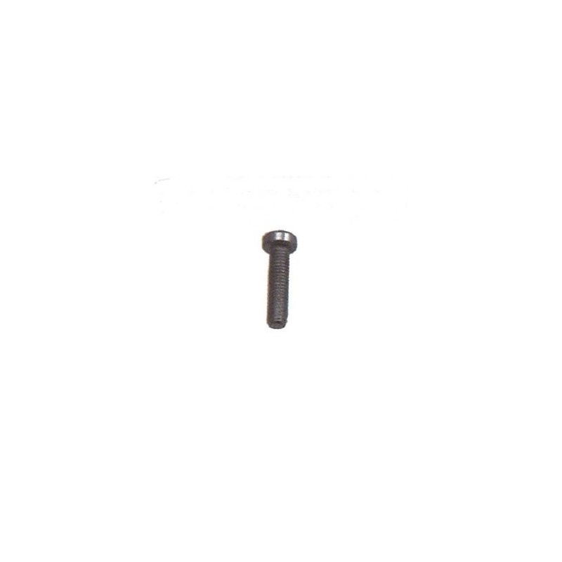 Screw UNI 10227 shaker MAORI 5x16 mm MAGIKO 4x4 - 046223