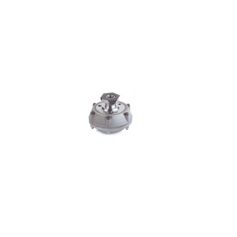 Clutch mechanism cone 17 Ø  103x96 BERTOLINI motor cultivator series 307