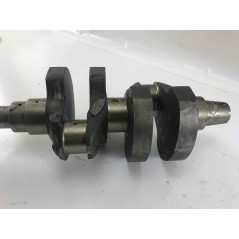Kurbelwelle STANDARD DIESELMOTOR LOMBARDINI 5LD825-2 1050.190 | NewgardenAgri.com