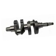 Albero motore standard diesel motocoltivatore LOMBARDINI 5LD825-2 1050.190 | NewgardenAgri.com