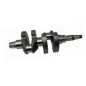 Kurbelwelle STANDARD DIESELMOTOR LOMBARDINI 5LD825-2 1050.190