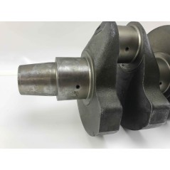 Kurbelwelle STANDARD DIESELMOTOR LOMBARDINI 5LD825-2 1050.190 | NewgardenAgri.com