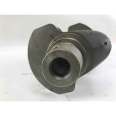Kurbelwelle STANDARD DIESELMOTOR LOMBARDINI 5LD825-2 1050.190 | NewgardenAgri.com