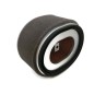 Filtro aria secco adattabile motore motocoltivatore YANMAR L100N 114210-12590