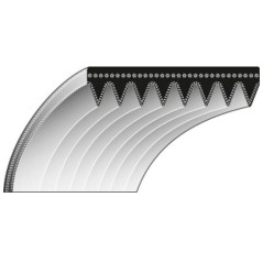 Cinghia lame dentatura interna ROQUES ET LECOEUR trinciaerba RL 460 - 0306030089 | NewgardenAgri.com