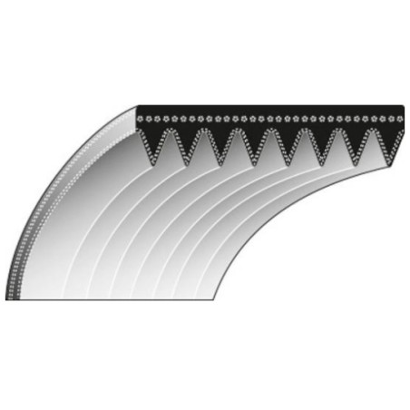 Cinghia lame dentatura interna ROQUES ET LECOEUR trinciaerba RL 460 - 0306030089 | NewgardenAgri.com