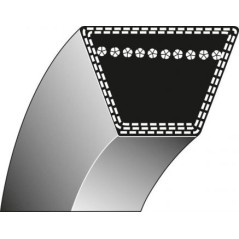 Cinghia trapezoidale MOTOSPAZZATRICE FALCIATRICE TIELBÜRGER 13x950mm | NewgardenAgri.com