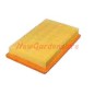 LOMBARDINI air filter for FOCS LDW502 walking tractor A03893 2175.105
