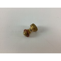 Motoculteur à carburateur LOMBARDINI LA 490 4125-08 | NewgardenAgri.com