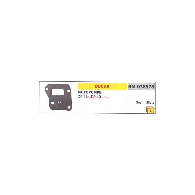 Entlüftungsdichtung DUCAR-Motorpumpe DP 25 40 038578