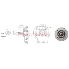 Complete ZANETTI DIESEL ZDX210L2 motor cultivator engine cylindrical manual start | NewgardenAgri.com