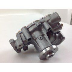 Pompa acqua motore DAIHATSU TORO ORIGINALE BRIGGS & STRATTON 825265 | NewgardenAgri.com
