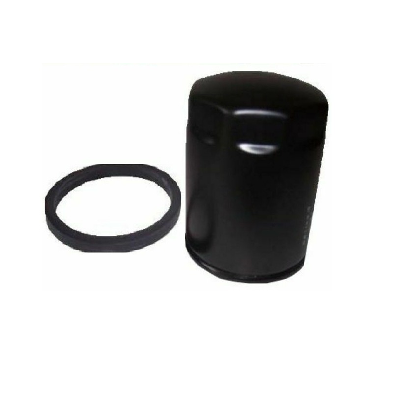 Externer Kraftstofffilter DIESEL Landwirtschaftsmotor RUGGERINI RF RD hoch 07.054 175.19