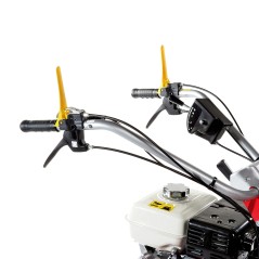 Professional flail mower WB 65 HR 11 with HONDA GX 340 engine cutting 65 cm | NewgardenAgri.com