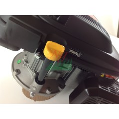ZANETTI ZBMV225L6 7HP 22X80 volante completo motor cortacésped de alta resistencia | NewgardenAgri.com
