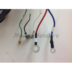 Kit blocco chiave quadro avviamento elettrico motocoltivatore motozappa 3LD | NewgardenAgri.com