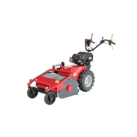 MECCANICA BENASSI TR500 mulcher B&S petrol engine 5.6HP working 50 cm | NewgardenAgri.com