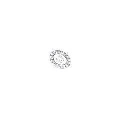 Disque d'embrayage rigide 41304 POUR GOLDONI 6.30.0082 GG4 41304 004 | NewgardenAgri.com
