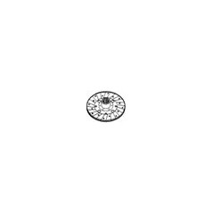 Disque d'embrayage rigide 41564 POUR LAMBORGHINI 0.433.2213.3, SAME 0.433.2213.3 GG4 41564 001 | NewgardenAgri.com