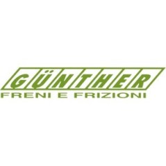 Rigid clutch disc 41311 FOR HURLIMANN 0.008.4745.3, LAMBORGHINI 0.008.4745.3, SAME 0..014.9439.3 GG4 41311 002 | NewgardenAgr...
