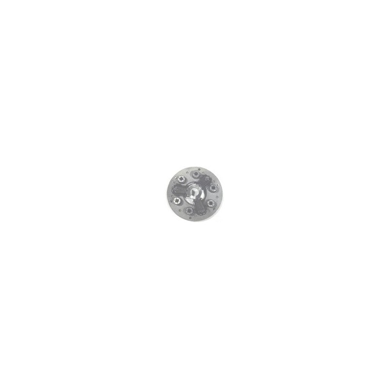 Clutch mechanism PI.VI. 50172 FOR PASQUALI P424015000000 PP5 50172 311