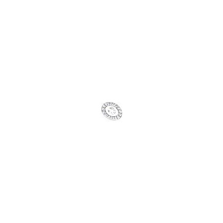 Disque d'embrayage rigide 40268 POUR PASQUALI P424016000000, PASQUALI P424016000000 GG4 40268 002 | NewgardenAgri.com