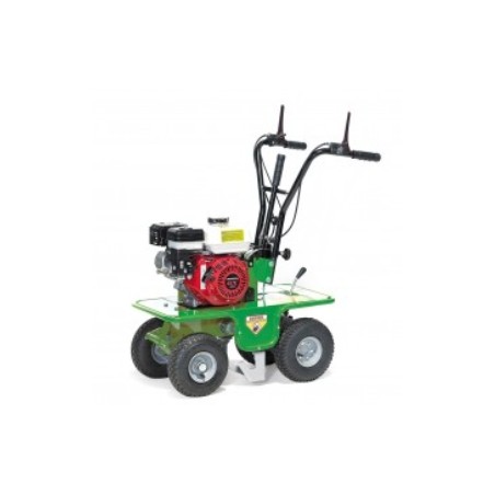 Rotary tiller ACTIVE AC 300 with HONDA engine working width 30 cm | NewgardenAgri.com