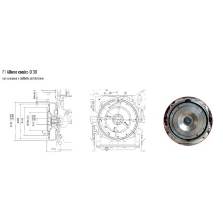 Kompletter Dieselmotor Motor Grubber ZANETTI S510F1E konisch 30 Elektrostart