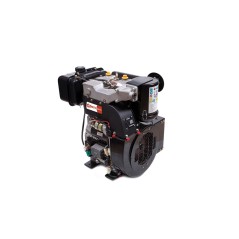 Kompletter Motor für ZANETTI DIESEL ZDM92/2C7E Motor mit Elektrostart | NewgardenAgri.com