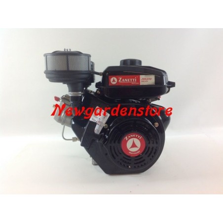 Kompletter ZANETTI DIESEL ZDX230L2 Zylindermotor Handstart | NewgardenAgri.com