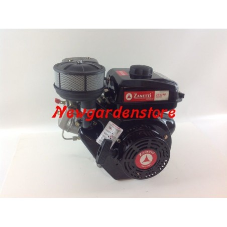 Complete ZANETTI DIESEL ZDX230L2 engine cylindrical manual start