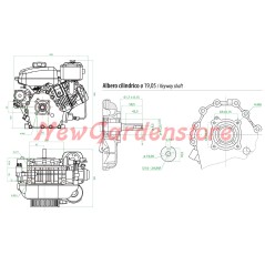 Complete ZANETTI DIESEL ZDX230L2 engine cylindrical manual start | NewgardenAgri.com