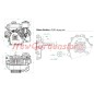 Motore completo motocoltivatore ZANETTI DIESEL ZDX230L2 cilindrico avv. manuale