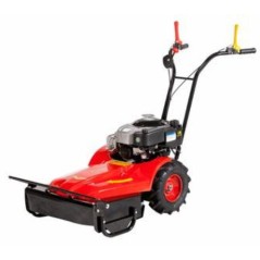 Reaper MECHANICAL BENASSI RF219 engine BRIGGS&STRATTON petrol working 55 cm | NewgardenAgri.com