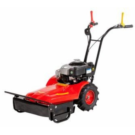 Faucheuse MECANIQUE BENASSI RF219 moteur BRIGGS&STRATTON essence 55 cm | NewgardenAgri.com