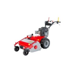 Mulcher MECCANICA BENASSI TR600 B&S petrol engine 7.8HP working 60 cm | NewgardenAgri.com