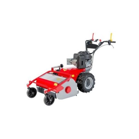 Mulcher MECCANICA BENASSI TR600 B&S petrol engine 7.8HP working 60 cm | NewgardenAgri.com