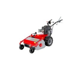 Mulcher MECCANICA BENASSI TR600 IDRO engine B&S working width 60cm | NewgardenAgri.com